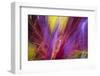 Colorful glass with blurred motion effect.-Stuart Westmorland-Framed Photographic Print