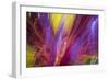 Colorful glass with blurred motion effect.-Stuart Westmorland-Framed Photographic Print