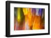 Colorful glass with blurred motion effect.-Stuart Westmorland-Framed Photographic Print