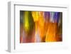 Colorful glass with blurred motion effect.-Stuart Westmorland-Framed Photographic Print