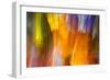 Colorful glass with blurred motion effect.-Stuart Westmorland-Framed Photographic Print