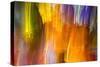 Colorful glass with blurred motion effect.-Stuart Westmorland-Stretched Canvas