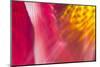 Colorful glass with blurred motion effect.-Stuart Westmorland-Mounted Photographic Print