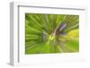 Colorful glass with blurred motion effect.-Stuart Westmorland-Framed Photographic Print