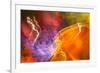 Colorful glass with blurred motion effect.-Stuart Westmorland-Framed Photographic Print