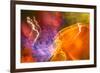 Colorful glass with blurred motion effect.-Stuart Westmorland-Framed Photographic Print