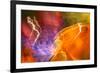 Colorful glass with blurred motion effect.-Stuart Westmorland-Framed Photographic Print