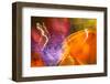 Colorful glass with blurred motion effect.-Stuart Westmorland-Framed Photographic Print