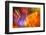 Colorful glass with blurred motion effect.-Stuart Westmorland-Framed Photographic Print