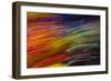 Colorful glass with blurred motion effect.-Stuart Westmorland-Framed Photographic Print