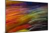 Colorful glass with blurred motion effect.-Stuart Westmorland-Mounted Photographic Print