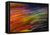 Colorful glass with blurred motion effect.-Stuart Westmorland-Framed Stretched Canvas