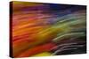 Colorful glass with blurred motion effect.-Stuart Westmorland-Stretched Canvas