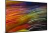 Colorful glass with blurred motion effect.-Stuart Westmorland-Mounted Photographic Print