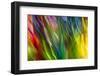 Colorful glass with blurred motion effect.-Stuart Westmorland-Framed Photographic Print