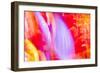 Colorful glass with blurred motion effect.-Stuart Westmorland-Framed Photographic Print