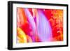 Colorful glass with blurred motion effect.-Stuart Westmorland-Framed Photographic Print