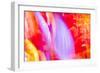 Colorful glass with blurred motion effect.-Stuart Westmorland-Framed Photographic Print