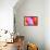 Colorful glass with blurred motion effect.-Stuart Westmorland-Framed Stretched Canvas displayed on a wall