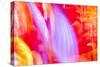 Colorful glass with blurred motion effect.-Stuart Westmorland-Stretched Canvas