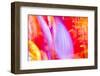 Colorful glass with blurred motion effect.-Stuart Westmorland-Framed Photographic Print