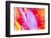 Colorful glass with blurred motion effect.-Stuart Westmorland-Framed Photographic Print