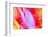 Colorful glass with blurred motion effect.-Stuart Westmorland-Framed Photographic Print