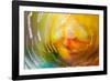 Colorful glass with blurred motion effect.-Stuart Westmorland-Framed Photographic Print