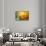 Colorful glass with blurred motion effect.-Stuart Westmorland-Framed Stretched Canvas displayed on a wall