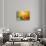 Colorful glass with blurred motion effect.-Stuart Westmorland-Stretched Canvas displayed on a wall