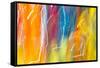 Colorful glass with blurred motion effect.-Stuart Westmorland-Framed Stretched Canvas