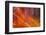 Colorful glass with blurred motion effect.-Stuart Westmorland-Framed Photographic Print