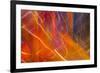 Colorful glass with blurred motion effect.-Stuart Westmorland-Framed Photographic Print