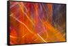 Colorful glass with blurred motion effect.-Stuart Westmorland-Framed Stretched Canvas