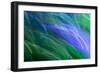 Colorful glass with blurred motion effect.-Stuart Westmorland-Framed Photographic Print