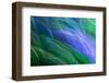 Colorful glass with blurred motion effect.-Stuart Westmorland-Framed Photographic Print