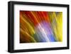 Colorful glass with blurred motion effect.-Stuart Westmorland-Framed Photographic Print