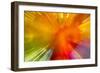 Colorful glass with blurred motion effect.-Stuart Westmorland-Framed Photographic Print