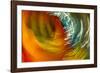 Colorful glass with blurred motion effect.-Stuart Westmorland-Framed Photographic Print