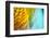 Colorful glass with blurred motion effect.-Stuart Westmorland-Framed Photographic Print