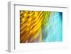 Colorful glass with blurred motion effect.-Stuart Westmorland-Framed Photographic Print