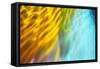 Colorful glass with blurred motion effect.-Stuart Westmorland-Framed Stretched Canvas