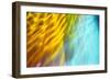 Colorful glass with blurred motion effect.-Stuart Westmorland-Framed Photographic Print