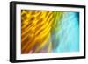 Colorful glass with blurred motion effect.-Stuart Westmorland-Framed Photographic Print