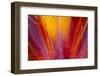 Colorful glass with blurred motion effect.-Stuart Westmorland-Framed Photographic Print