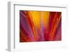 Colorful glass with blurred motion effect.-Stuart Westmorland-Framed Photographic Print