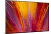 Colorful glass with blurred motion effect.-Stuart Westmorland-Mounted Photographic Print