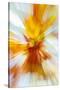 Colorful glass with blurred motion effect.-Stuart Westmorland-Stretched Canvas