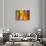 Colorful glass with blurred motion effect.-Stuart Westmorland-Stretched Canvas displayed on a wall