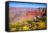 Colorful Grand Canyon-Jeni Foto-Framed Stretched Canvas